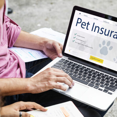 5 important things to know before buying pet insurance